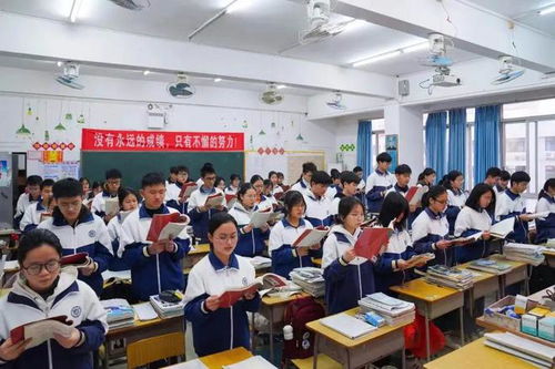 广东首次公布中小学生校外教育培训非学科类目录清单